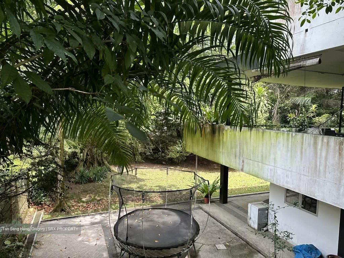 White House Park (D10), Detached #534249131